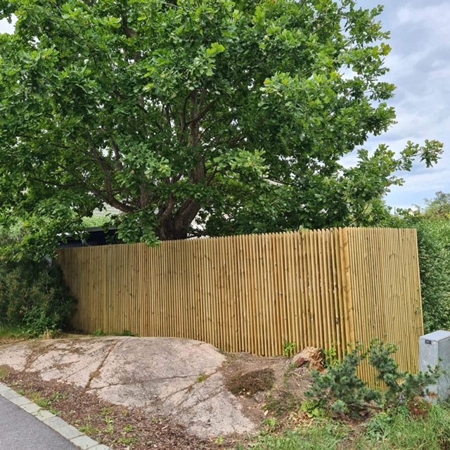 Inlägg utan rubrik 255