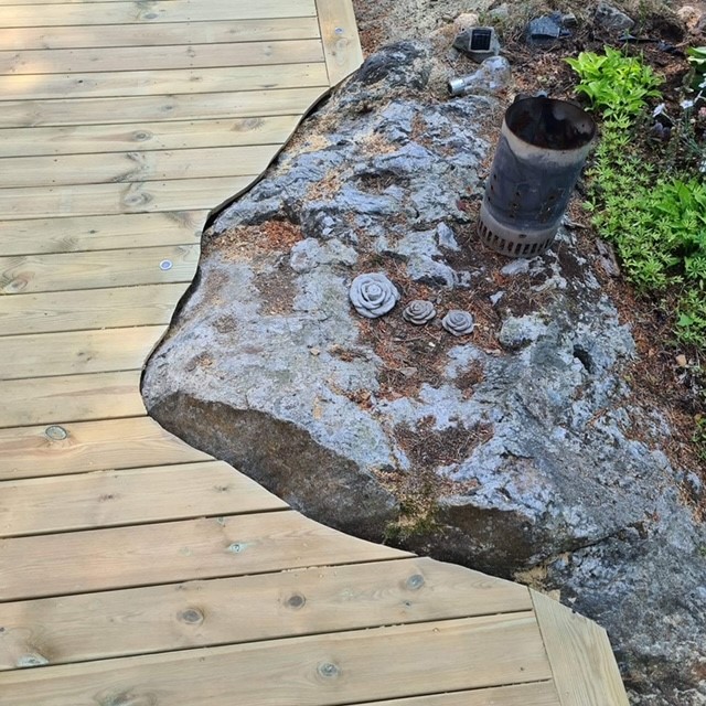 Category image for Altaner